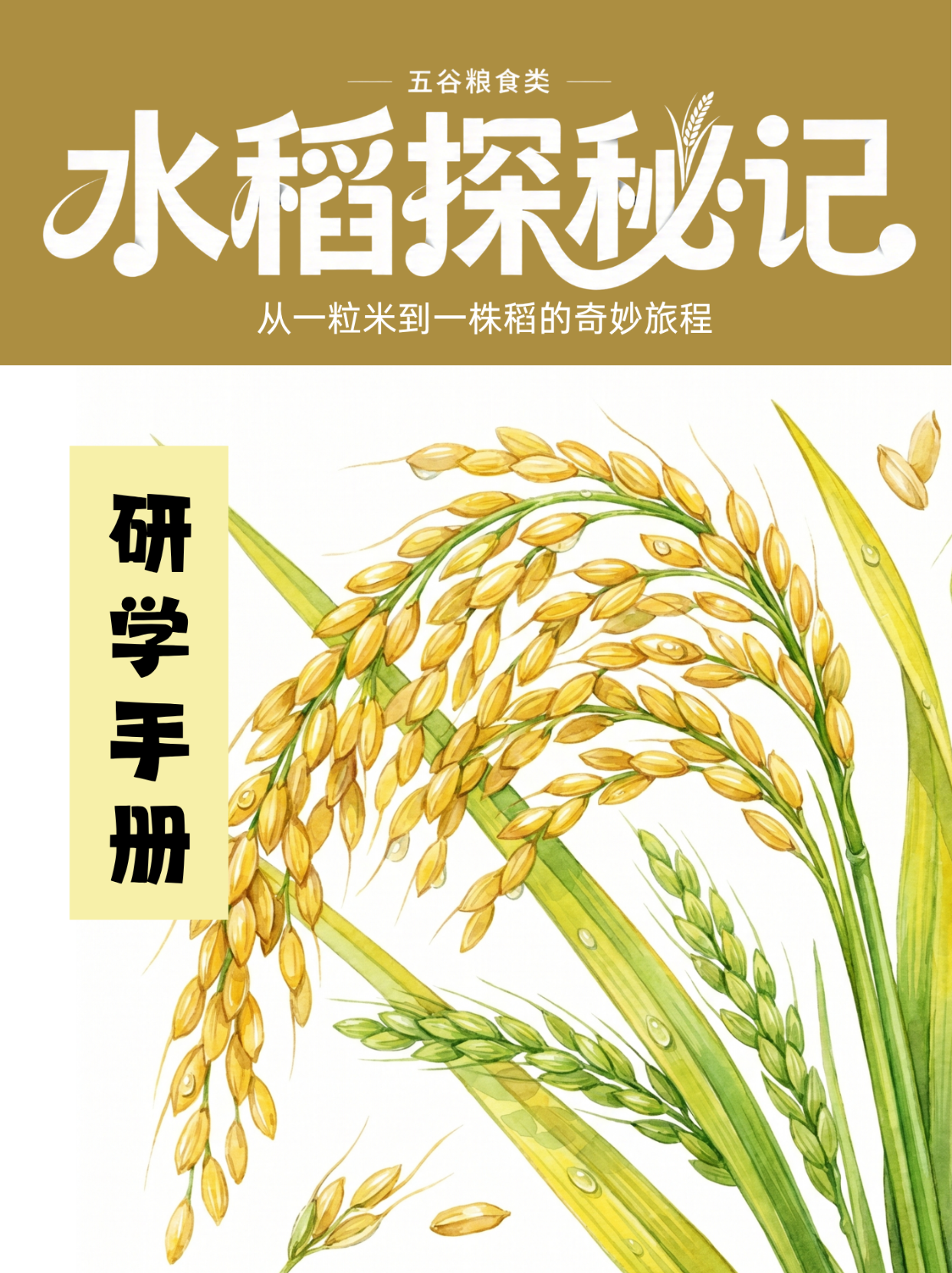 水稻探秘研学手册封面